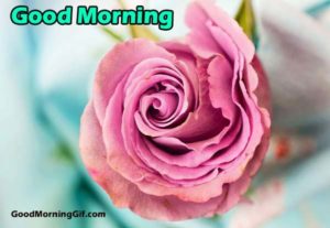 Good Morning Images With Flowers & Good Morning Wishes