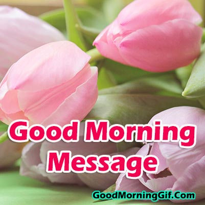 Good Morning Messages Good Morning Msg Text Messages