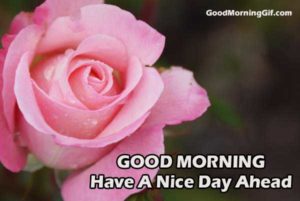 Good Morning Images With Flowers & Good Morning Wishes