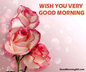 Good Morning Images With Flowers & Good Morning Wishes