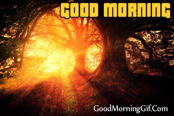 30 Good Morning Sunrise Images Photo For WhatsApp, Facebook, Pinterest