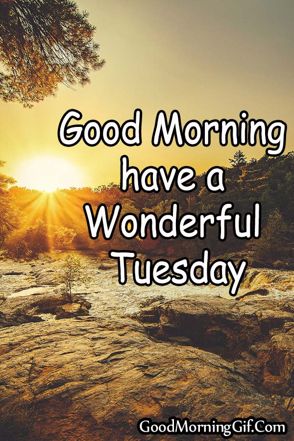 [39+] Good Morning Happy Tuesday Nature Images